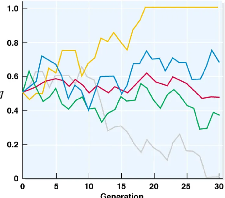 Fig. 22.12  The effect of genetic drift in the frequency (q) of allele A 2  in four  populations