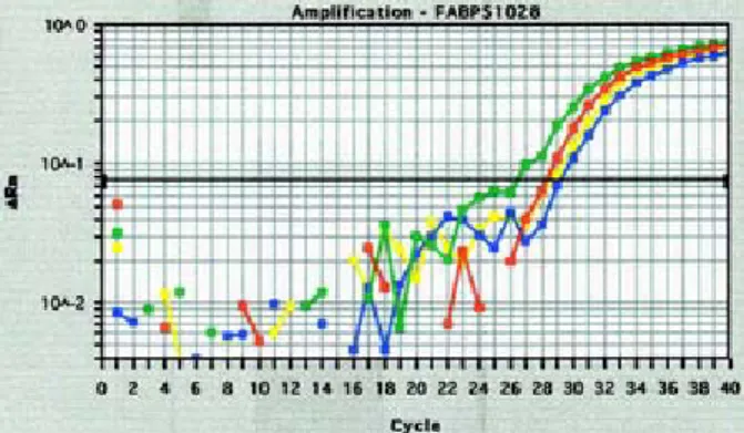 Figure 1. mRNA expression of Fabp5 detected by  real-time RT-PCR. 