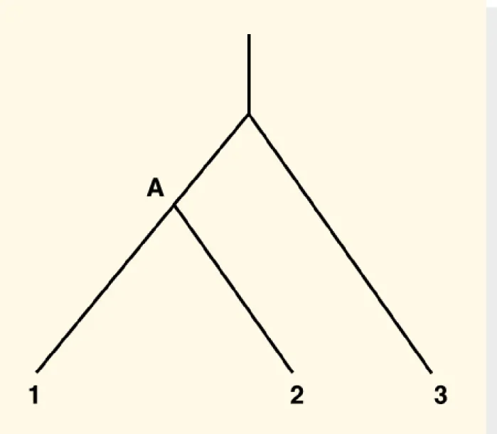 Fig. 24.4  Phylogenetic tree used in a relative rate test