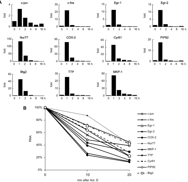 Fig. 1. mRNA metabolism of the IEGs during the early diﬀerentiation of 3T3-L1 cells. (A) mRNA expression proﬁling