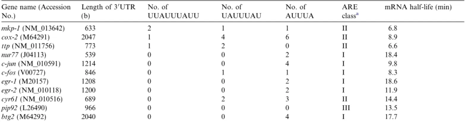 Fig. 2. TTP could interact with MKP-1 mRNA. (A) RNA immunopre- immunopre-cipitation analysis