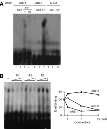 Fig. 3. Analysis of interaction of recombinant TTP with three AREs in MKP-1 mRNA by EMSA