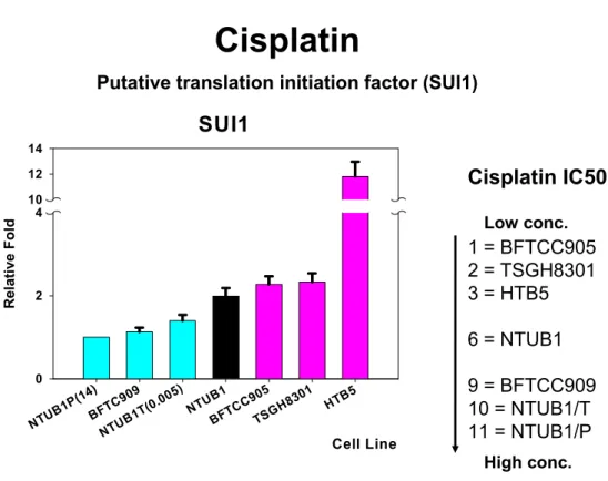 Fig. 4 Real-time PCR 分析具 cisplatin 抗性/敏感人類泌尿上皮癌細胞株之 SUI1 基因表現量 