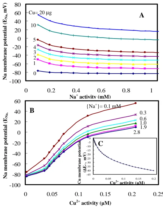 Figure  2.  Predictions  of  clam  gill  membrane  potentials.  (A)  Na +   activity-dependent  Na  membrane  potentials  in  response  to  Cu  ranging  from  0  to  20  µg  L -1 