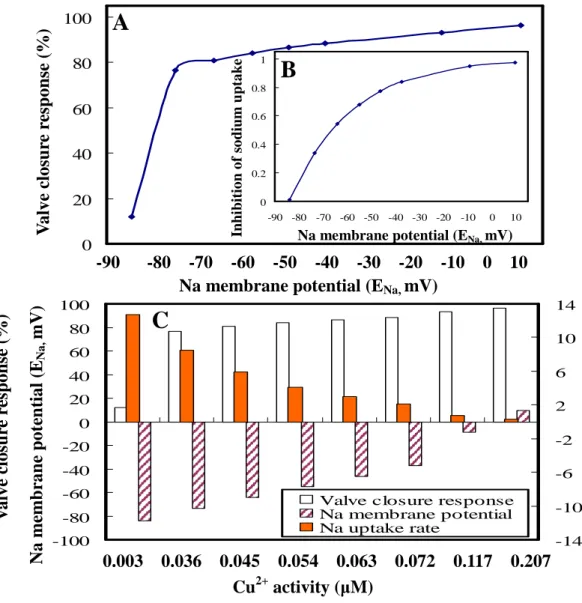 Figure 4. Predicted biological and electrophysiological responses that includes clam valve  closure behavior, Na uptake, and gill potentials