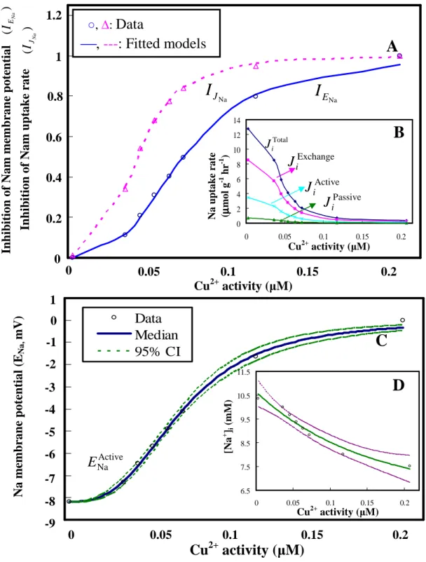 Figure 5. Predicted dose-response profiles. (A) Hill-based dose-response profiles showing  the  relationships  between  inhibitions  of  Na  membrane  potential/Na  uptake  rate  and  Cu 2+