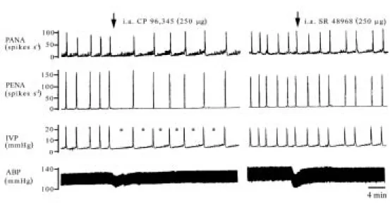 Fig. 2 Effects of i.a CP96,345 and SR48968 on the micturition parameters on  ABP, IVP, PANA, and PENA