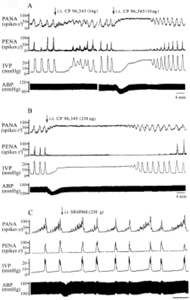Fig. 3 Inhibitory effects of i.t low (A, left panel), median (A, right panel), or  high dose of CP96,345 (B) on the micturition parameters