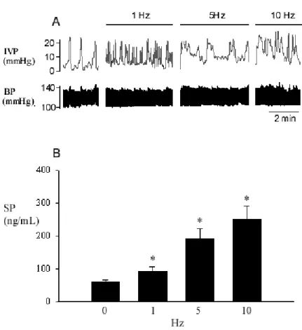 Fig. 4 Effect of pelvic nerve stimulation on bladder activity and plasma SP  concentration from the bladder outflow
