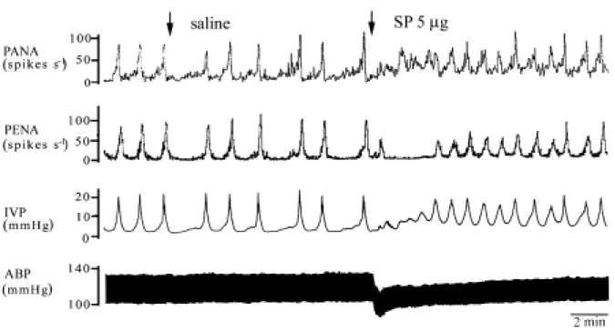 Fig. 6 Effects of i.t saline and SP on the micturition parameters on ABP, IVP,  PANA, and PENA