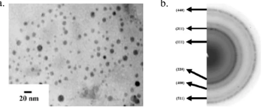 Figure 1. a.) TEM imaging showing Fe 3 O 4  nanoparticles with average size of 6.2 ± 2.1 nm, and b.) Selected  area electron diffraction pattern of the Fe 3 O 4  nanoparticles