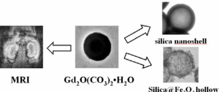 Figure 6. SEM images showing (a) the spherical particles obtained from a ratio of [urea]/[GdCl 3 ·6H 2 O] = 4  for a reaction of 4 h at 91  o C, (b) the rhombus-shaped particles obtained from a ratio of [urea]/[GdCl 3 ·6H 2 O] 