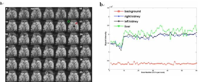 Figure 8. The dynamic contrast-enhanced MR imaging (DCE-MRI) of the Gd 2 O(CO 3 ) 2 ·H 2 O (sphere-shaped  particles)