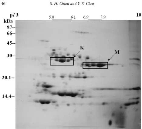 FIGURE 1 Two-dimensional gel analysis of the protein components from Taiwan habu (Trimeresurus mucrosquamatus)