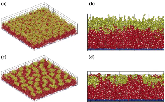 Figure 2-2. Simulated surface structures of rod-coil block copolymer brushes with the parameters  of  ρ S = 0.7, n A  = 5, n B  =20, aBS = 26,and aAB= 40: (a) top view (for a AS  = 26); (b) side view (for  a AS  = 26); (c) top view (for a AS ＝40); and (d) 