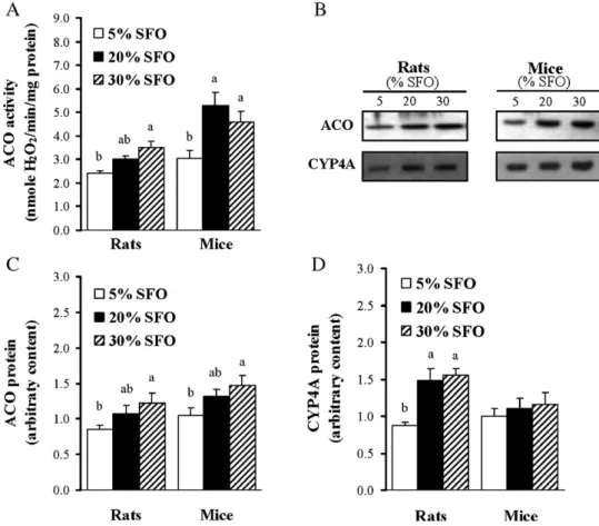 Fig. 3A and C). In contrast, the C57BL/6J mice fed the 20% SFO diet had the highest liver PPARa mRNA