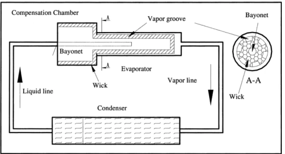 Fig. 1. Schematic of LHP. 