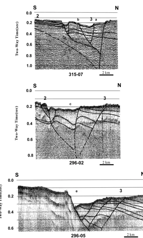 Fig. 11. Seismic profiles showing the flower-structure beneath the sea floor in the area of Chilung Valley
