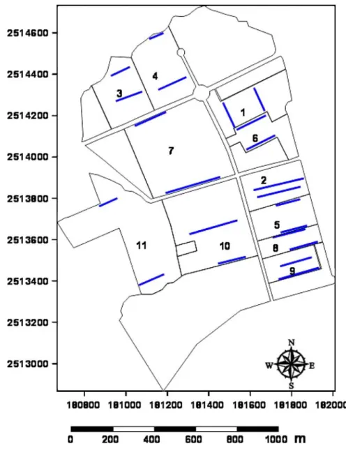 Fig. 1 The OP-FTIR sampling sites (blue bold lines) of 11 plants in Ta-sher Petrochemical Complex, Taiwan