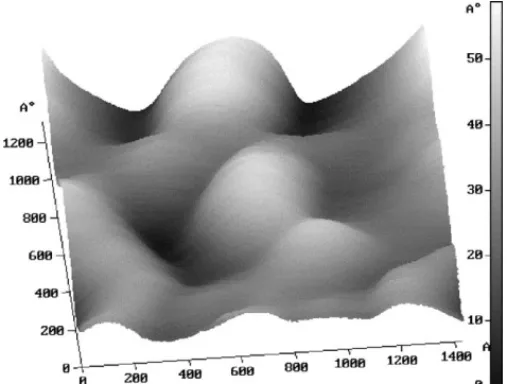 Fig. 1. The SEM photo of the LPD grown oxide, showing the nano- nano-structures.