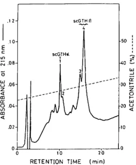 FIG.  1.  Reverse-phase  HPLC  fractionation  of  the 