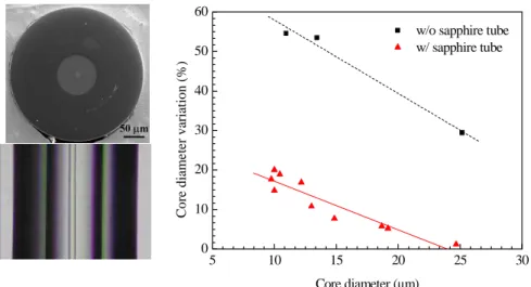 Fig. 2. The left images are the end view and side view of a 10-μm-core Cr 4+ :YAG DCF