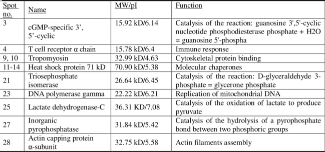 Table  3  (A)  Up-regulated  and  (B)  Down-regulated  proteins  in  human  hepatocellular  carcinoma 