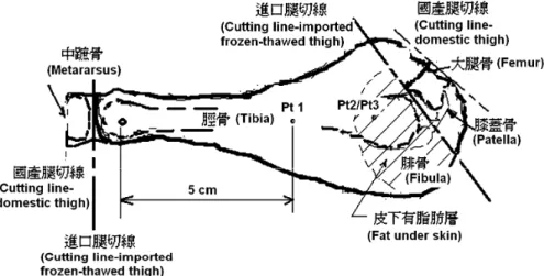 圖 1 國產與進口雞腿在分切位置及光譜值量測位置 Pt1 和 Pt2/Pt3 Fig.1 Cutting and measuring positions (Pt1 and Pt2/Pt3) of domestic chilled