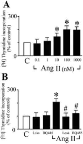 Figure 1. Characteristics of the activation of  DNA synthesis by Ang II in cardiac fibroblasts