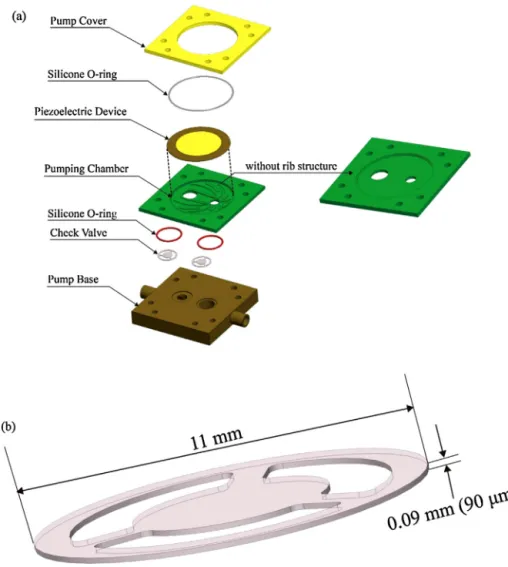 Fig. 1. Structure of (a) the miniature pump assembly (b) the check valve.