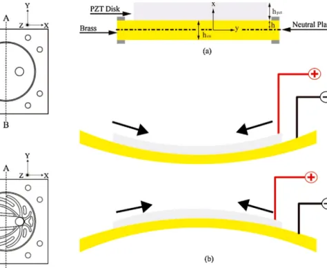 Fig. 2. Pumping chamber cross-section view (along the A–B line from the top view) (a) without rib structures (b) with rib structures.
