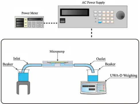 Fig. 5. Experimental setup.