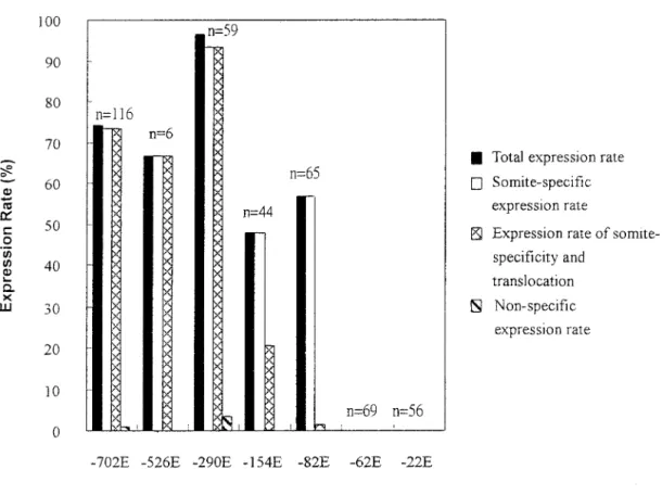 FIG. 7. Expression rates of EGFP signals in transgenic embryos. DNA fragments containing different lengths of the region upstream of zebrafish myf-5 were microinjected into the fertilized eggs of zebrafish at a concentration of 25 ng/ ␮l