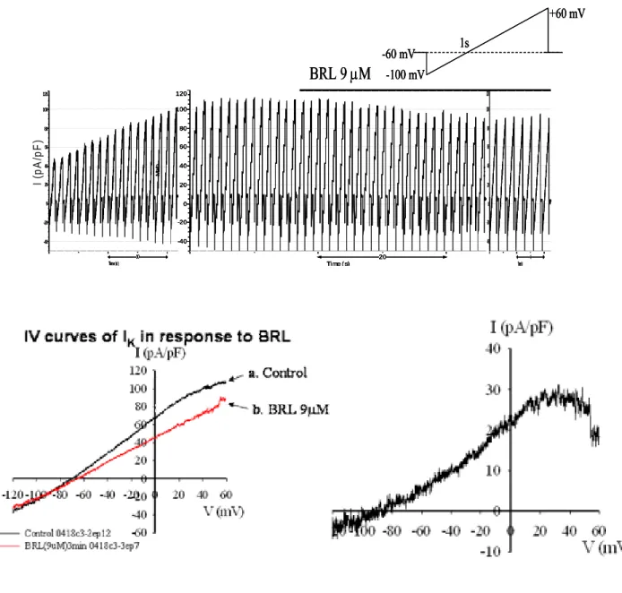 Fig. 4A  20 Time ( s)Math-40-2002040608010012010Time (s)Math-40-20020406080100120 4Time(s)Math-40-20020406080100120BRL 9 µM-60 mV-100 mV +60 mV1sI (pA/pF)20Time ( s)Math-40-2002040608010012010Time (s)Math-40-200204060801001204Time(s)Math-40-200204060801001