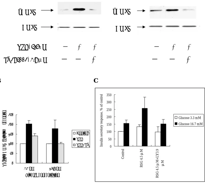 Fig. 2. RSG-induced AMPK activation is dependent on PI3K pathway. Both AMPK  phosphorylation (A), its enzymatic activity (B) and insulin secretory response (C) is activated by  RSG but is blocked by treatment of a PI3K inhibitor LY294002 in either low or h