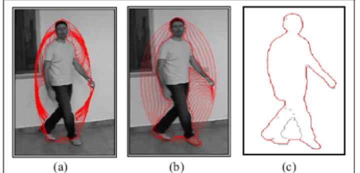 Figure 2.8 Segmentation of a grey-level image through the traditional-snake (a) and GVF-snake (b).Comparison  between the final shape of the GVF-snake and the real human shape (c)