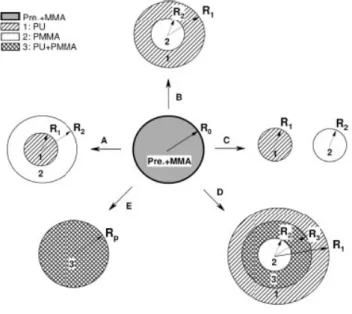 Figure 1. Morphological states of PU/PMMA hybrid  particles. 