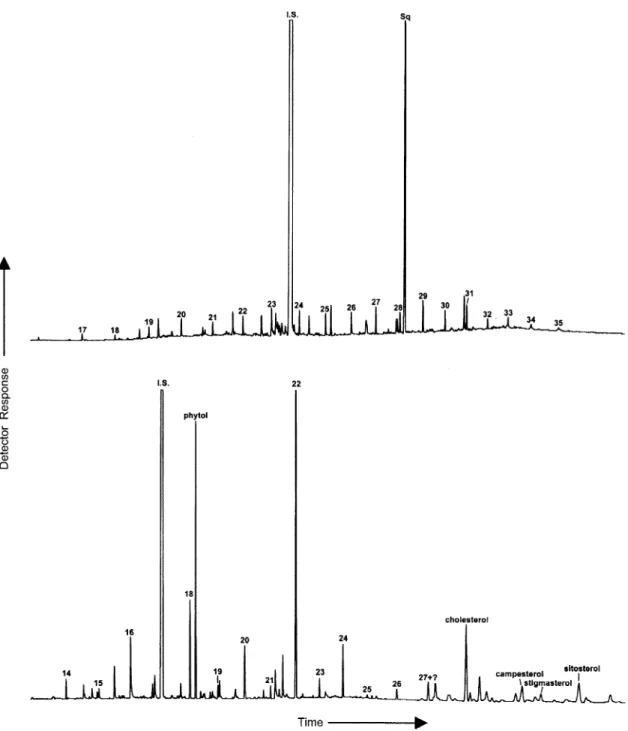 Fig. 7. (upper) Gas chromatogram of the aliphatic fraction from the Lan-yang River suspended matter