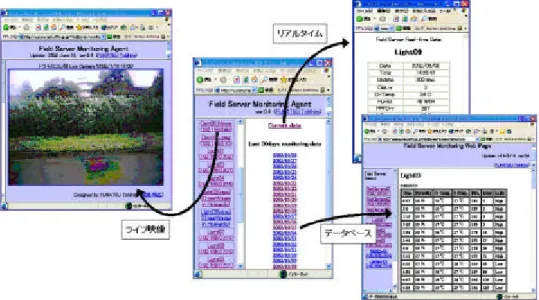圖 3c.  日本建立的田間伺服器的監測畫面（Hirafuji, 2005a）  圖 3d.  商品化的田間伺服器  （Hirafuji, 2005b）  國外發展  (泰國)  泰國受限於網路基礎建設，其本土化的 FS 版本有 80%透過 GPRS 傳遞影像與 環境資訊。泰國引進日本 FS 技術比台灣早了不到一年，但現階段的進展兩邊相差 頗多，台灣為資訊大國，具備發展上的優勢，但農政單位的不夠重視，以至於發 展緩慢。泰國政府的大力支持使得截至 2005 年八月，已建立了 550 個 FS 監測點。 如圖 