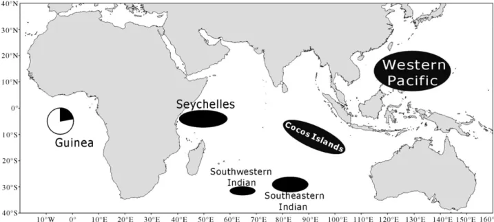 Fig. 1. Map showing the bigeye tuna sampling areas under study.
