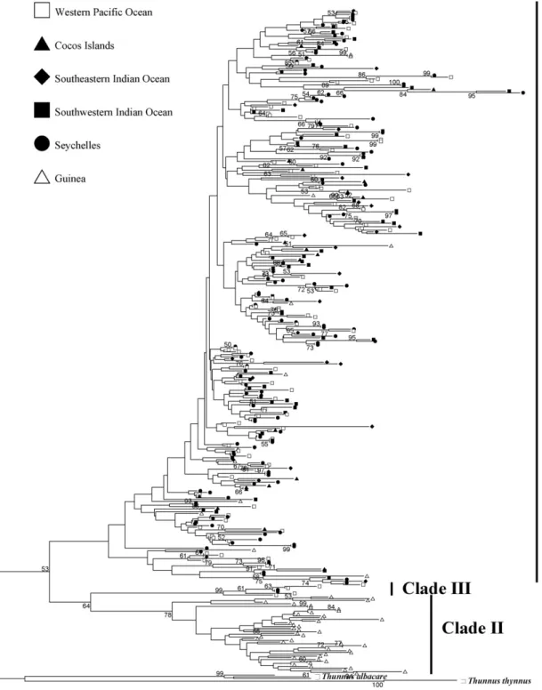 Fig. 2. Neighbor-joining tree estimated with the Tamura and Nei model among mtDNA lineages of bigeye tuna