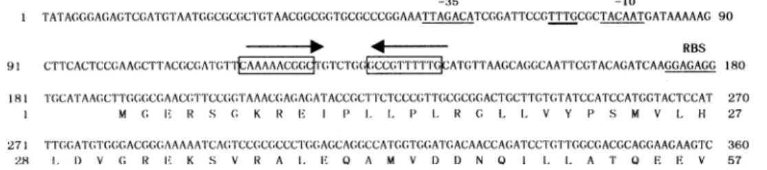Fig. 1. Putative promoter region of Bt-lon. Potential )35 and )10 regions and the RBS are underlined