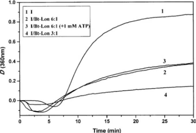 Fig. 5. Eﬀects of temperature on the activities of Bt-Lon. (A) Eﬀects of temperature on peptidase (d) and ATPase (s) activities of Bt-Lon.