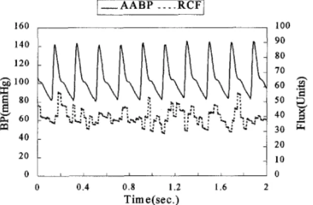 Fig.  1.  The  abdominal aortic blood  pressure (AABP) and  the  pulsatile  renal  cortical  flux  (RCF)  measured  by  a  commercial LDF, MBF3