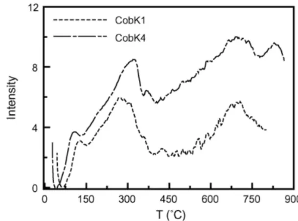 Fig. 3. Evolution profiles of CO 2 and CO by temperature-programming desorption for (- - - -) CobK1-AC and (-  -  -  -) CobK4-AC.