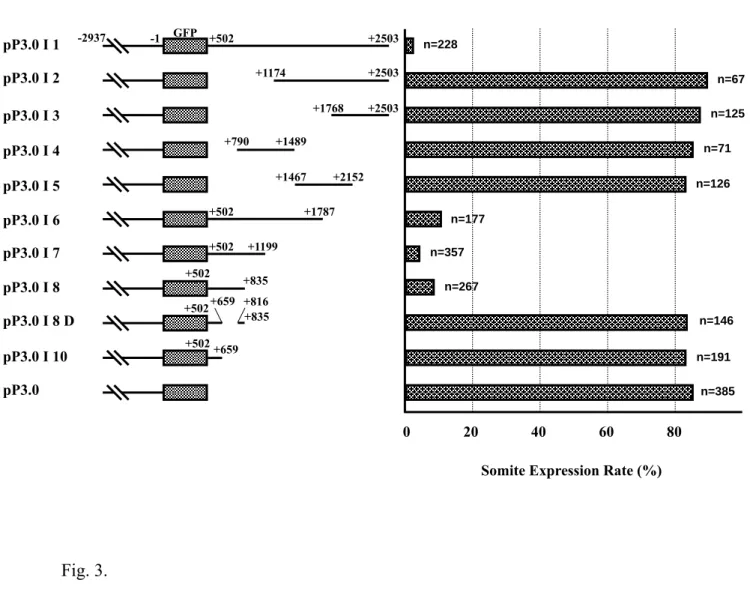 Fig. 3.                                                                                                 pP3.0 I 1 pP3.0 I 2 pP3.0 I 3 pP3.0 I 4 pP3.0 I 5 pP3.0 I 6 pP3.0 I 7 pP3.0 I 8 pP3.0 I 8 D pP3.0 I 10 pP3.0 Plasmids +502+2503+1174+2503+1768+2503+790+