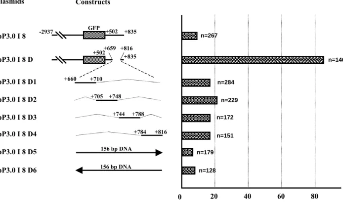 Fig. 5.                                                                                       Plasmids pP3.0 I 8 D +659 +816+502+835pP3.0 I 8 +502 +835 40 60 8020n=267 