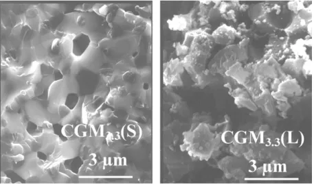 Fig. 7 shows the SEM micrographs on the cross-sections of CGM 3.3 (S) and CGM 3.3 (L) pellets