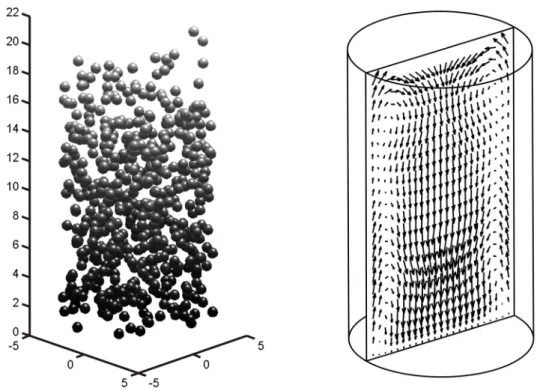 Figure 9. 3D granular positions and circulation pattern in a fluidisation column. 