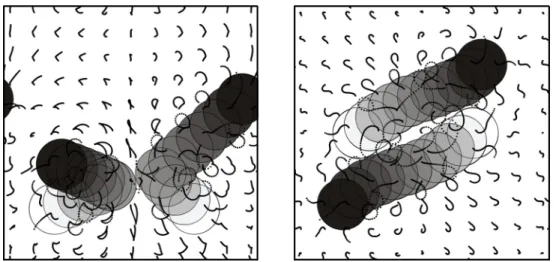 Figure 12. Asymmetric motions of two massless particles in a liquid-filled periodic box  (with associated pathlines of a set of liquid tracers)